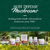 Host Defense Maitake Extract - Immune & Cellular Health Support Supplement - Dietary Herbal Supplement with Maitake Mushroom & Mushroom Mycelium - Liquid Mushroom Supplement - 1 fl oz (30 Servings)*