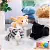 Harrycle 3 Pcs 9 Inch Cat Stuffed Animal Plush Cat Valentine's Day Gift Cute Stuffed Cat Plush Toys Small Cat Stuffed Animal Sleeping Gifts for Boys Girls Pet Party Favors(Stylish Style)