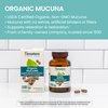 Himalaya Organic Mucuna/Pruriens Herbal Supplement, Supports Relaxation, Tension Relief, Brain Function, Non-GMO, USDA Organic, Vegan, Gluten Free, 600 mg, 60 Plant-Caplets, 60 Day Supply
