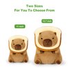 Ditucu Cute Capybara Plush Pillow with Wearable Toast Headgear Stuffed Animals Bread Capibara Plushies Toys Gifts for Kids 11 inch