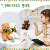 9 Pieces Cute Bear Stuffed Animals 10 Inch Soft Plush Stuffed Bears Toy Valentine's Day Gift Bulk with Bow Tie Kids Boys Girls Graduation Baby Shower Birthday Party Gift(Dark Brown, Golden, White)