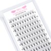 Premade Fans Eyelash Extensions 12D-C-0.07-14 Premade Volume Lash Extensions Pointed Base Fans 0.07 Premade Volume Fans C D Curl(12D-C-0.07,14mm)