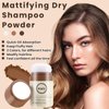 Noerrors Dry Shampoo Powder, Mattifying Root Boost Fuller Looking Non-aerosol Benzene-free No White Cast Refresh Hair Fluffy Volumizing Volume Powder Wash Free Travel Size for Women Men #02Light Brown