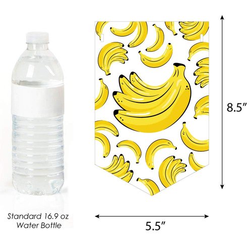 Big Dot of Happiness Let’s Go Bananas - Tropical Birthday Party Bunting Banner - Birthday Party Decorations - Happy Birthday