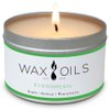 Wax and Oils Soy Wax Aromatherapy Scented Candles (Evergreen) 8 Ounces. Single