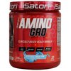 iSatori Amino-GRO BCAA Powder, Branched Chain Amino Acids with Glutamine, Electrolyte Powder & Bio-GRO Bio-Active Peptides for Muscle Growth & Post Workout Recovery, Blue Razz Snow Cone (30 Servings)