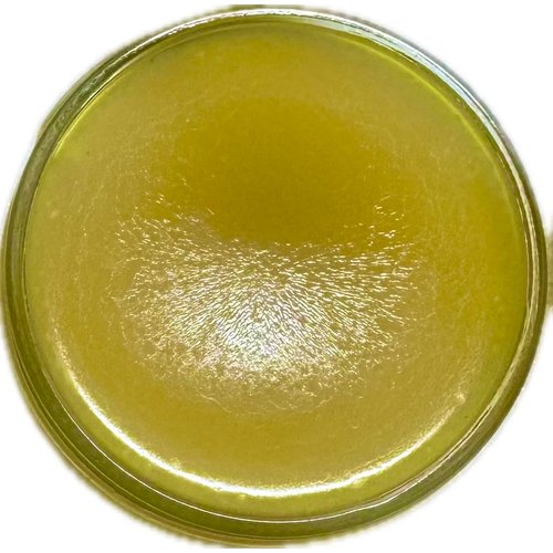 Organic Herbal Salve | 2oz | Tomato Salve | Lavender Scented | Made with Organic Extra Virgin Olive Oil (Tomato)