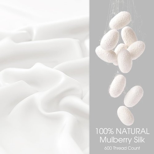 WLOSJ 100% Silk Pillow Cases 2 Pack Queen Size Mulberry Silk Pillowcase for Hair and Skin Set of 2 Highest Grade 6A Silk Soft Breathable Cooling with Hidden Zipper, White