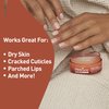 PROcure Everything Everywhere Balm Natural Moisturizing, Soothing Multi-Use Ointment with Castor Seed Oil, Coconut Oil, Beeswax, and Shea Butter for Dry, Sensitive Hand, Skin, Body, Petroleum-Free