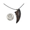 Mid-Land Scientific Gorgosaurus Dinosaur Claw Pendant Necklace (344-4)