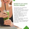 MacroLife Naturals Macro Greens Powder 38 Superfood Probiotic Antioxidant Enzyme & Herbal Supplement Immunity Energy Cleanse - Non-GMO Vegan Gluten-Free Dairy-Free - 10oz (30 Servings)