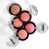 Palladio Baked Blush, Highly Pigmented Shimmery Formula, Easy to Blend and Highly Buildable, Apply Dry for a Natural Glow or Wet for a Dramatic Luminous Look, Long Lasting for All day Wear, Blushin