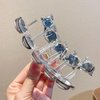 6PCS Cute Hair Claw Clips Transparent Hair Clamps for Women Thin Thick Curly Hair Styling - Strong Hold Hair Accessories