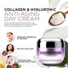 Collagen & Hyaluronic Acid Cream - Anti Aging, Renewing, Toning & Hydrating Face Moisturizer - Reduces Wrinkles, Creases & Fine Lines - Locks in Moisture - Skin Care Made in Korea - 1.69fl.oz by AZURE