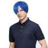 IEBIYO Mens Blue Wig Joy Short Blue Cosplay Wig Boys Blue Anime Wig Heat Resistant Halloween Party Costume Wig (Blue)