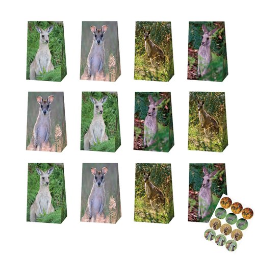 12 Pack Kangaroo Party Bags Kangaroo Birthday Party Supplies Party Favors Kangaroo Goodie Bag Candy Bags for Kids with One Sheet Kangaroo Stickers