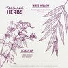 WishGarden Herbs Cranial Comfort - Plant-Based Herbal Supplement with White Willow Bark Extract, Lavender & Scullcap Supports Release of Head, Neck & Shoulders Tension, Stress & Muscle Tension, 2oz