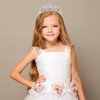Birthday Tiaras and Crowns for Women Princess Girls Bridal Wedding Prom Queen Pageant Crystal Fashion Headbands with Combs Silver