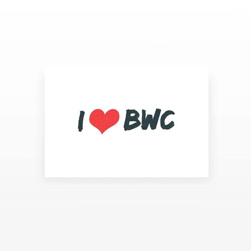2pcs I Love BWC Temporary Tattoos
