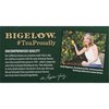 BigelowTea Green Tea With Lemon (Caffeinated), 20 Count