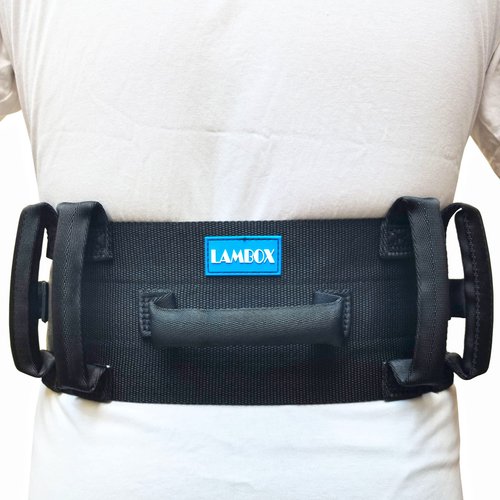 LAMBOX Gait Belt-Transfer Belt with 7 Nylon Padded Handles, Medical Nursing Safety Gait Assist Device for Elderly, Seniors, Therapy (7 Soft Black Handles 60",Plastic Release Buckle)