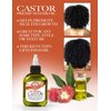 Ethereal Nature 99% Natural Hair Oil Blend with Castor 75 ml