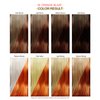 Adore Semi Permanent Hair Color - Vegan and Cruelty-Free Orange Hair Dye - 4 Fl Oz - 039 Orange Blaze (Pack of 2)