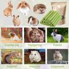 NSWXZDS 48PCS Rabbit Toys, Bunny Chews Timothy Hay Stick Guinea Pig Food, Hamster Toys for Teeth Grinding, Rabbit Alfalfa Treat, Rodent Molar Snack for Chinchilla Squirrel Gerbil Hedgehog Chipmunk