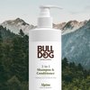 Bulldog Mens Skincare and Grooming 2-in-1 Shampoo and Conditioner, Alpine, 12 Fluid Ounces