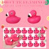 Honoson Flamingo Rubber Duckies Bulk Pink Flamingos Bath Toys Floating Squeak Flamingo Toy Seasonal Holiday Rubber Ducks for Baby Shower Party Favors, Cake Decoration, Classroom Prizes (24 Pcs)