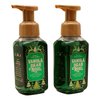 Bath & Body Works Vanilla Bean Noel Gentle Foaming Hand Soap (Pack of 2) 8.75 Oz each - Packaging Design Varies