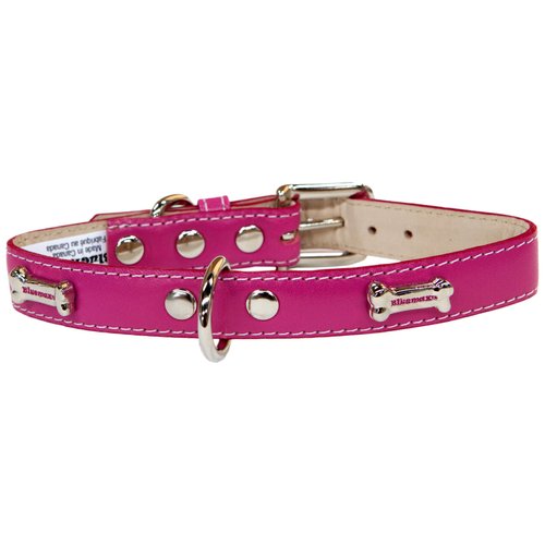 Bluemax Genuine Leather Full Grain Cow Dog Collar with Bone Stud, 5/8-Inch by 10-Inch, Fushia