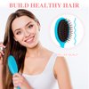 Nuenen 3 Pieces Mini Detangler Hair Brushes Small Wet Dry Hair Brush Travel Detangling Brushes Soft Bristles Pocket Child Hairbrush for Kids Women Girls for Most Hair Types (Blue, Pink, Plum Red)