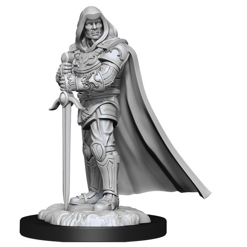 WizKids Dungeons & Dragons 48821 Board Game