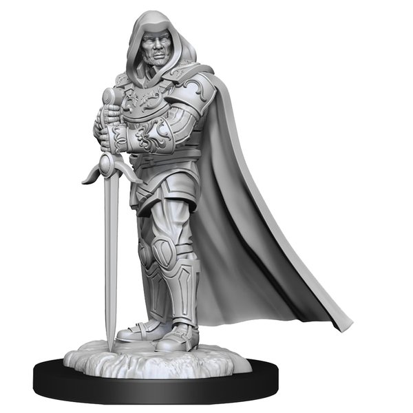 WizKids Dungeons & Dragons 48821 Board Game