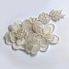 Qililandiy 10 Pcs Beige Mixed Style Embroidery Lace Flower Patches Appliques DIY Sewing Craft for Decoration, Sew On Patches for Repairing and Decorating