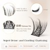 BEFER Lash Clusters, 72 Pcs D Curl Eyelash Clusters Super Fluffy Lightweight Individual Lashes 8-16MM Cluster Eyelash Extensions Soft Comfortable Wispy Natural Lashes DIY At Home(Mermaid,FD34)