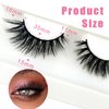 Cat-Eye Lashes Wispy Eyelashes 15mm Fox Eye Lashes Angel Wing Lashes Faux Mink False Eyelashes Natural Look 5 Pairs pack (B20)