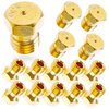 MEANHDAG Grill LP Gas Conversion Kit for Weber, Brass Jet Nozzle for Propane LPG, DIY Burner Replacement Part Orifice Can Drill Out, 10 PCS, Orifice Hole Size 0.5mm=0.02 "=24AWG, M6x0.75mm