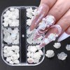 Tyuimhx Flowers Nail Charms 3D Resin White & Aurora Clear Rose Designs Nail Art Charms for Acrylic Nails Flatback Floral Nail Supplies for Women Girls DIY Manicure Decorations Crafts (6 Grids)