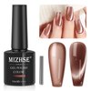 MIZHSE Cat Eye Gel Nail Polish: Brown Magnetic Gel Polish with Magnet Stick, Maillard Style Magic Effect Galaxy Shimmer Glitter Holographic Nail Gel Soak Off Nail Art Salon Manicure Home