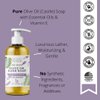 Brittanie's Thyme Organic Natural Hand Soap, 16 oz (Lavender) Moisturizing Castile Soap Made Olive Oil And Natural Luxurious Essential Oils. Vegan, Gluten & Cruelty Free,