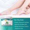 SPA REDI - Clay Mask, Mint and Eucalyptus, 16 Oz - Pedicure and Body Deep Cleansing, Skin Pore Purifying, Detoxifying and Hydrating