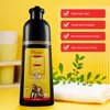 DISAAR Beauty Speedy Hair Color Shampoo 100% Cover Gray White Hair Easy To Use Long Lasting 400ml/13.53fl.oz (Gold)