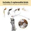 Leo's Paw The Original Interactive Bird Simulation Cat Toy Set Realistic Colorful Feathers Bells Wand Self-Holding Suction Base Stimulating Real-Life Flying Bird Impression Hunting Play (w. 5 Birds)