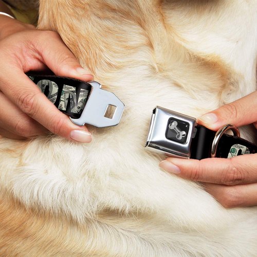 Buckle-Down Dog Collar Seatbelt Buckle Cash Money Black Dollar Bills Fill, Multicolor, 1.5" Wide - Fits 16-23" Neck - Medium (DC-W32920-WM)