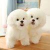 Tiny Heart Simulation Bichon Frise Plush Toys, Realistic Bichon Frise Stuffed Animal Plush Toys Soft and Cute Dog Plush Toys 10inch, Birthday Gifts for Kids, Home Decor