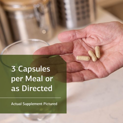 Standard Process Congaplex - Thymus Gland Support Supplement - Support Immune Health with Calcium Lactate, Magnesium, Vitamin C & Vitamin A - Immune System Aid with Mushroom Powder - 90 Capsules