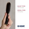 Kent KB Headhog Travel Detangling Hair Brush, Tortoise Shell, Black Rubber Cushion Detangler Brush and Scalp Brush, Firm Rounded Plastic Bristles for Women Men and Kids Everyday Care, Made in England
