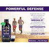 Immunia 67 polyphenols. Elderberry Concentrate with Wild Blueberry. Antioxidant Supplement. Concentrate of 67 polyphenols (Anthocyanins, Quercetins, Resveratrols, etc.) 24 Days/Bottle (1-Pack)